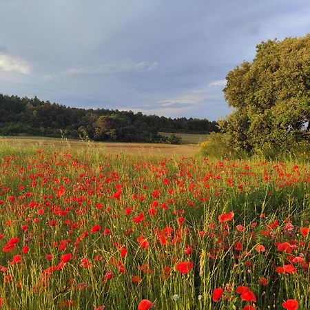 Gite A La Campagne, Proche Carcassonne Alairac Extérieur photo