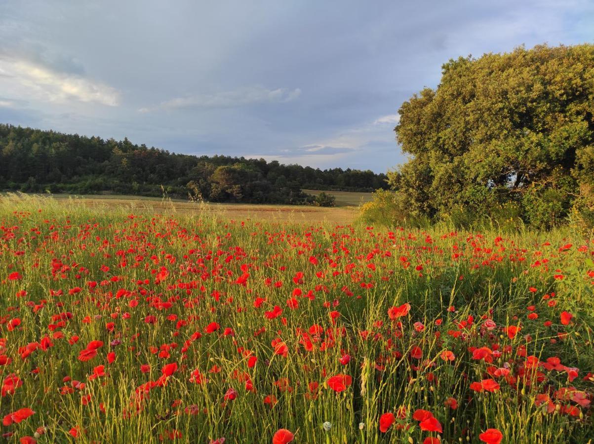 Gite A La Campagne, Proche Carcassonne Alairac Extérieur photo